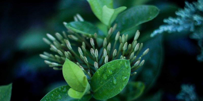 企业咨询42:以运营优化为引擎,管理培训为基石,驱动人才发展新动能