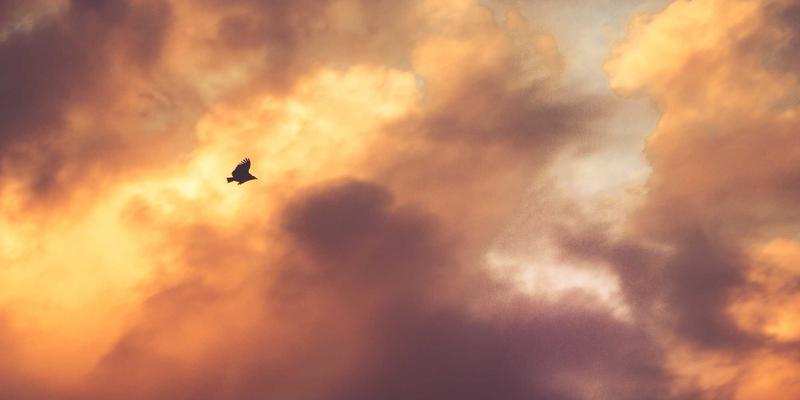 企业咨询95:以运营优化、人才发展与战略规划驱动可持续增长