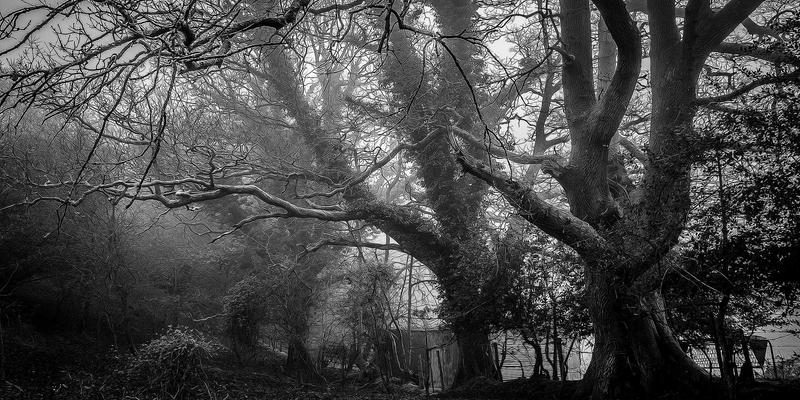 企业咨询如何赋能组织成长：管理培训与战略规划的协同之道