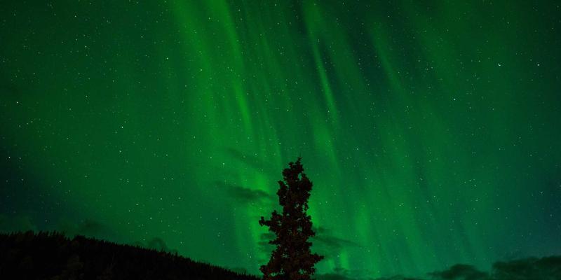 企业咨询如何赋能组织进化：威尔萨尔视角下的人才发展战略