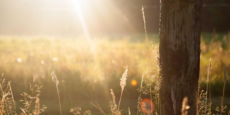 企业咨询如何通过战略规划与运营优化，破解库存与物流困局