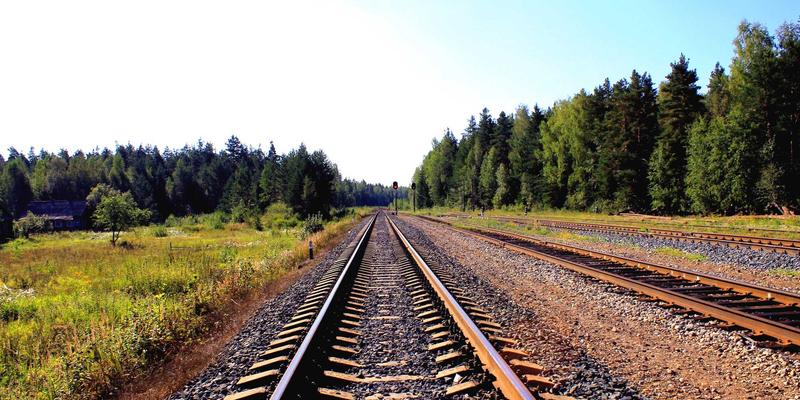 企业咨询如何驱动人才发展：威尔萨尔的战略实践与启示