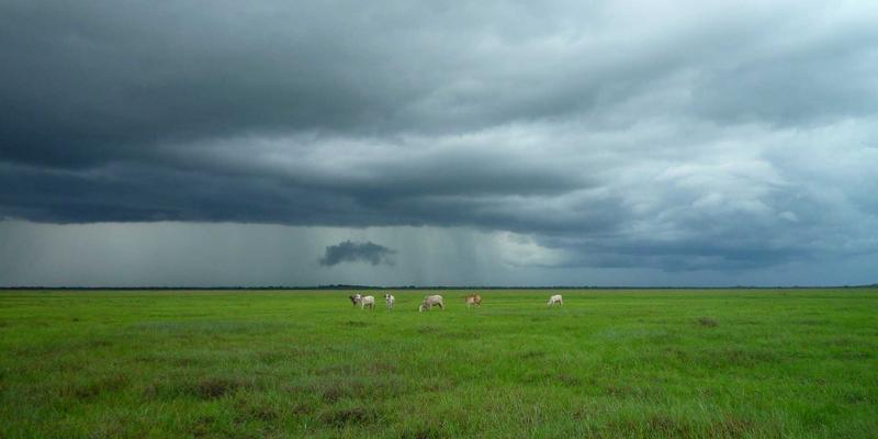 企业战略咨询：以运营优化、人才发展与管理培训驱动差异化增长