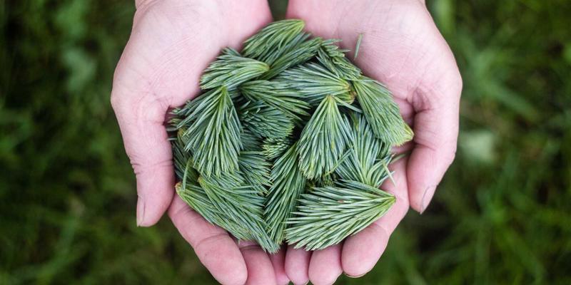 企业数字化转型咨询：从战略规划到运营优化与人才发展的完整路径