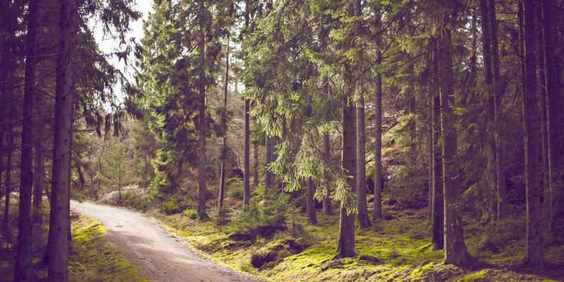 威尔萨尔企业咨询：以ESG驱动的运营优化，重塑企业可持续发展核心竞争力