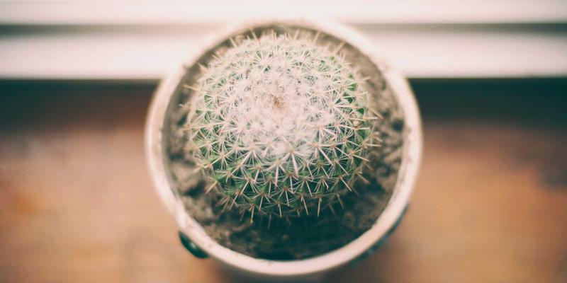 威尔萨尔战略规划：以客户体验管理咨询驱动忠诚度与收入增长