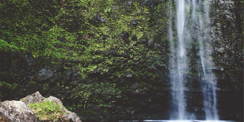 威尔萨尔管理培训：新媒体时代品牌定位策略与运营优化实战指南