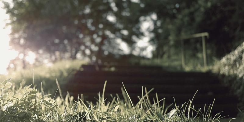 家族企业传承咨询：以战略规划与威尔萨尔方法破解代际交接的治理、运营与人才困局